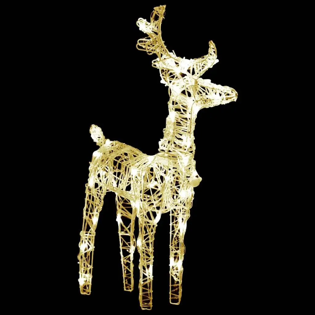 Christmas Reindeer LED Lights Acrylic 2 Piece Warm White Outdoor Yard Decoration