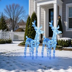 Sturdy Blue Acrylic Christmas Reindeer Lights 2 pcs