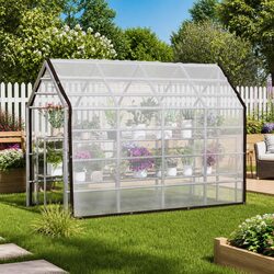 Durable Transparent Tarpaulin 3 x 4 m for Gardens