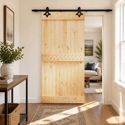 Stylish Sliding Door 100x210cm Pine Wood with Black Frame