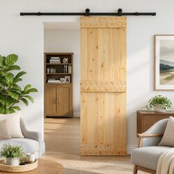 Modern Sliding Door in Natural Pine Wood with Black Track