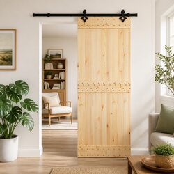 Durable Modern Sliding Door with Black Steel Track 80x210cm