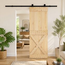 Modern Sliding Door in Natural Wood with Black Track