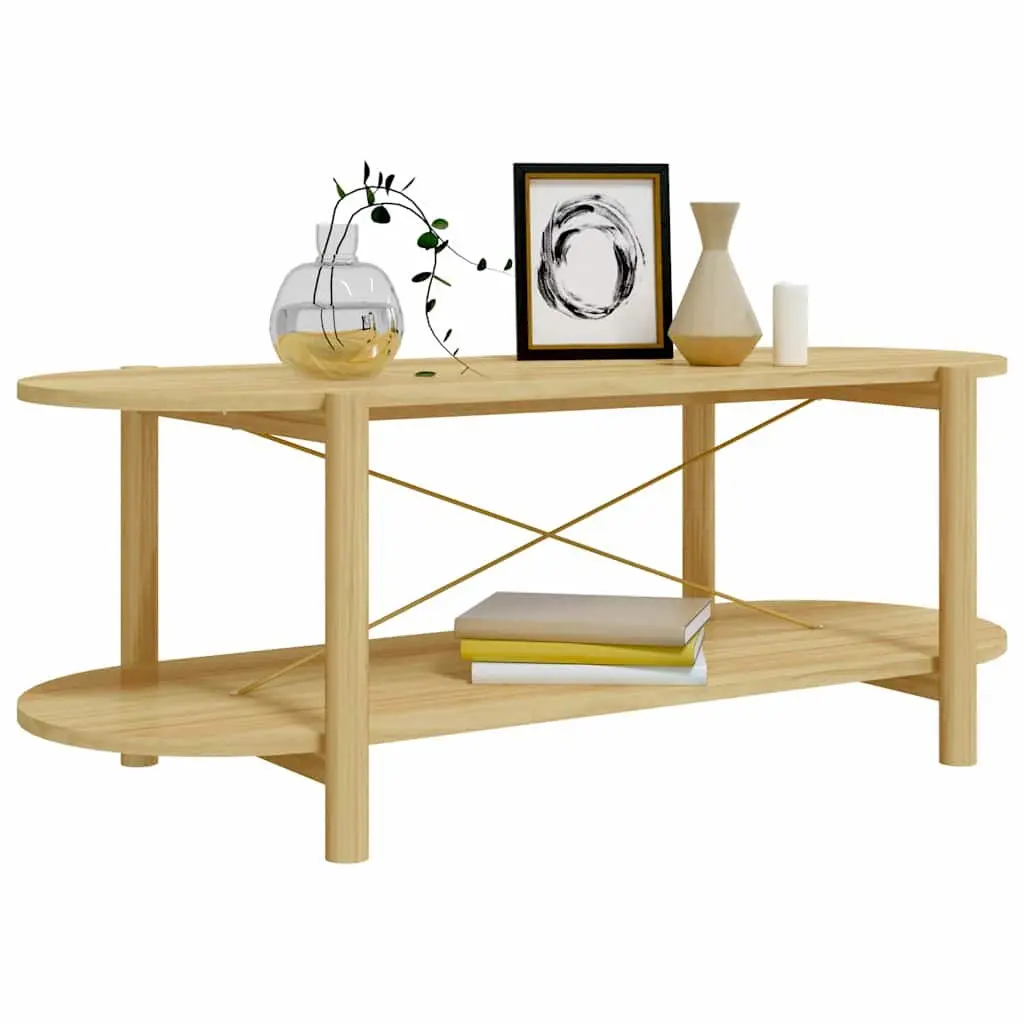 Brown Engineered Wood Coffee Table with Storage