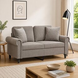 Luxurious Grey Velvet Throw Pillows 2 pcs 40x40 cm