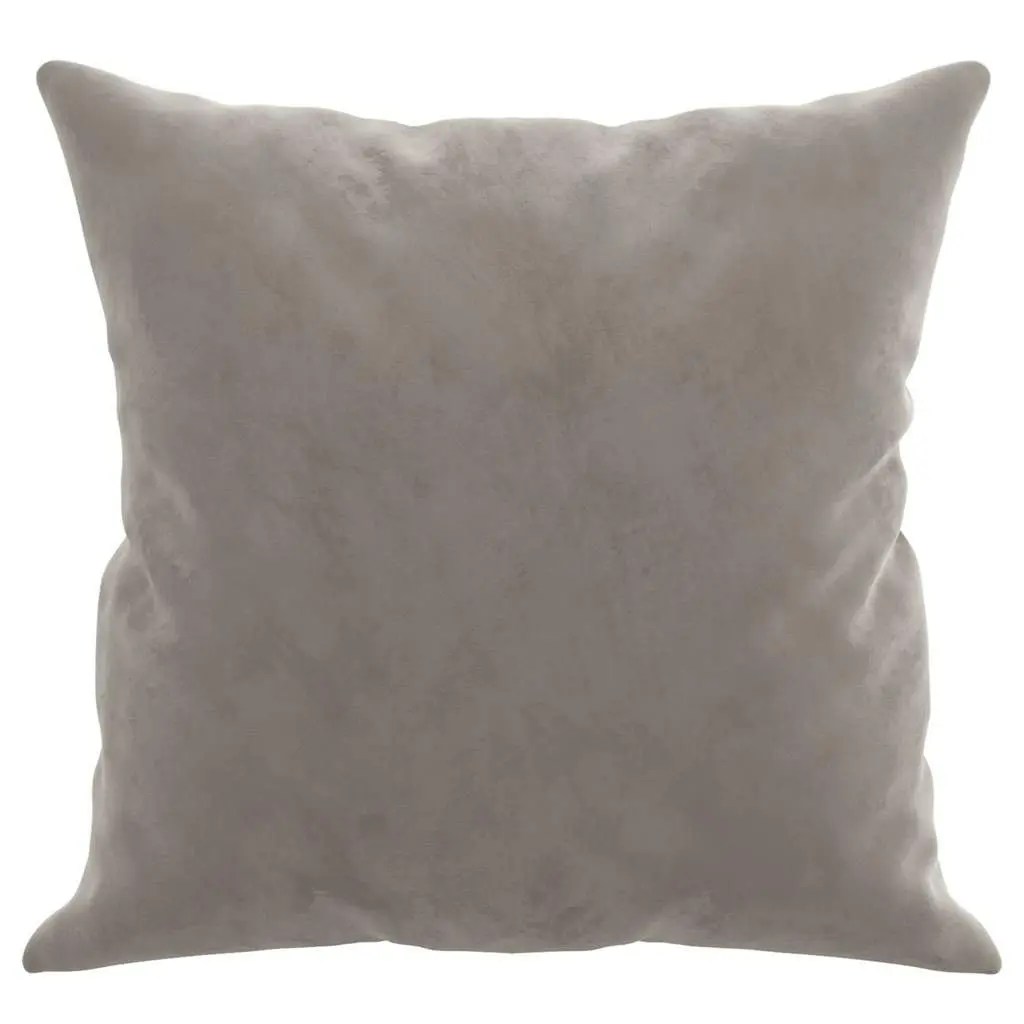 Grey Velvet Throw Pillows 2 pcs 40x40 cm