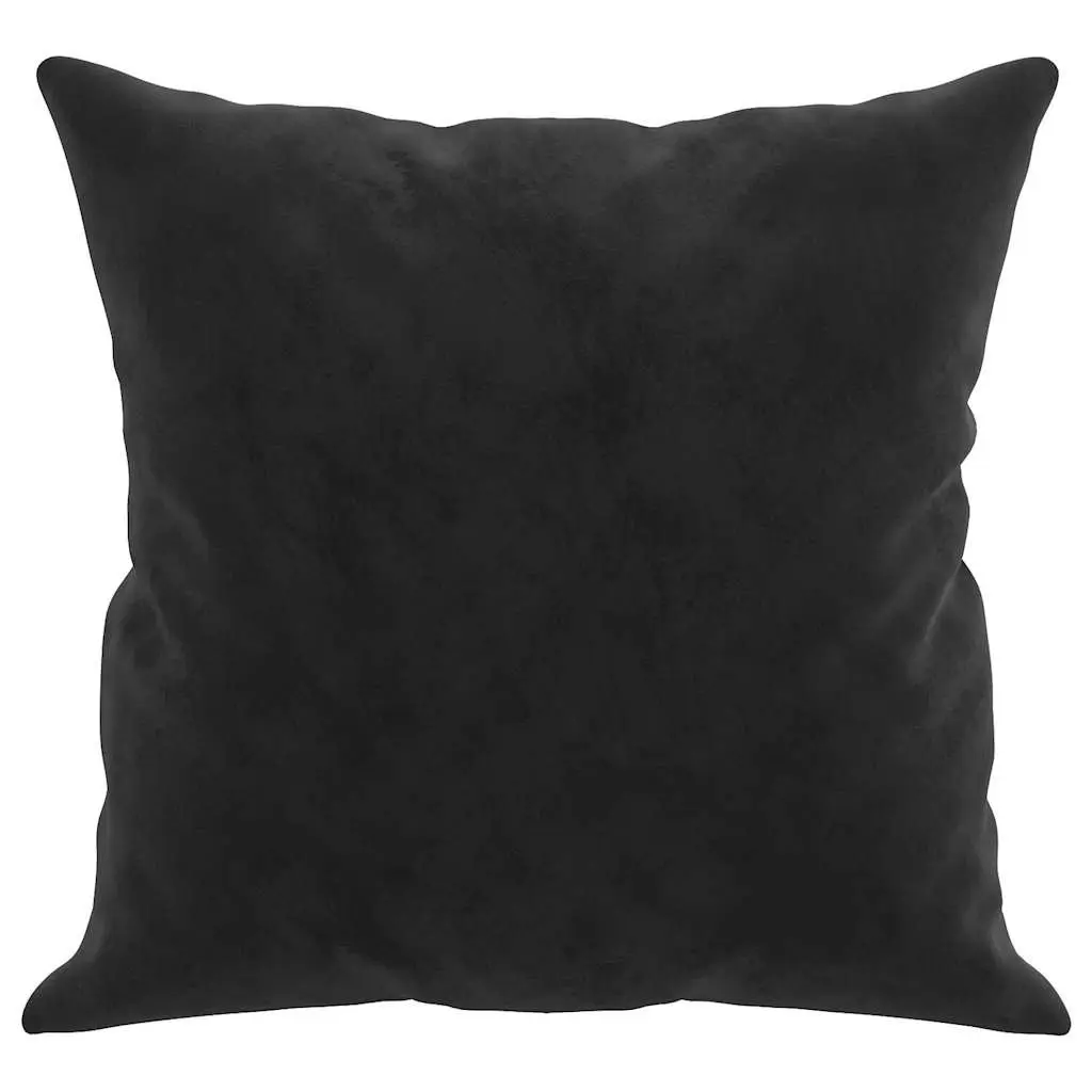 Throw Pillows 2 Pieces Black 40x40 cm Velvet Square Cushions Home Decor Sofa