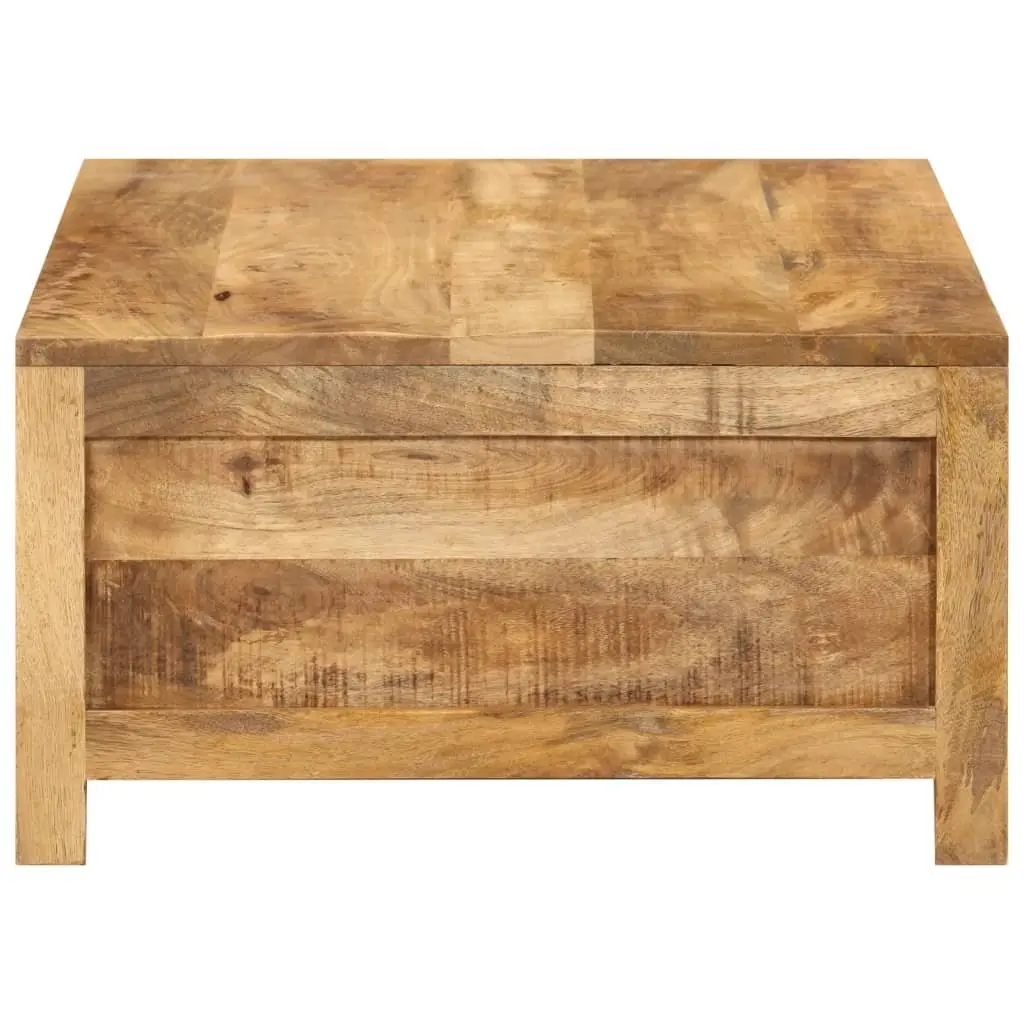 Coffee Table 80x55x30 cm with Storage Space
