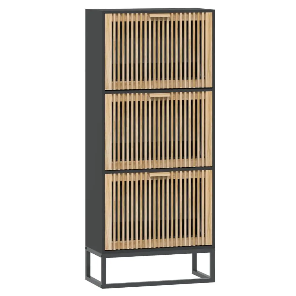 Black Engineered Wood Shoe Cabinet Storage Unit