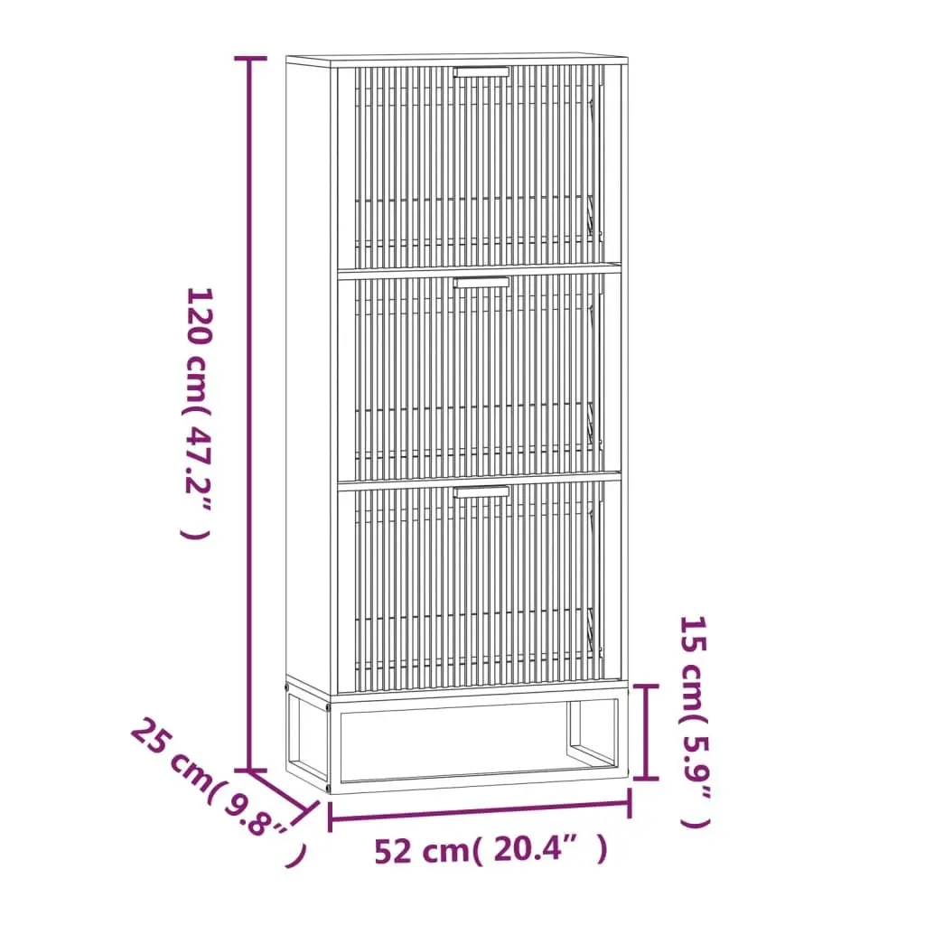 Black Engineered Wood Shoe Cabinet Storage Unit