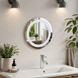 LED Bathroom Mirror 30 cm Round with Integrated Lights USB Powered Wall Mount