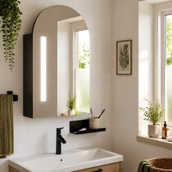 Bathroom Mirror Cabinet with LED Light Arched Wall-Mounted Storage Black