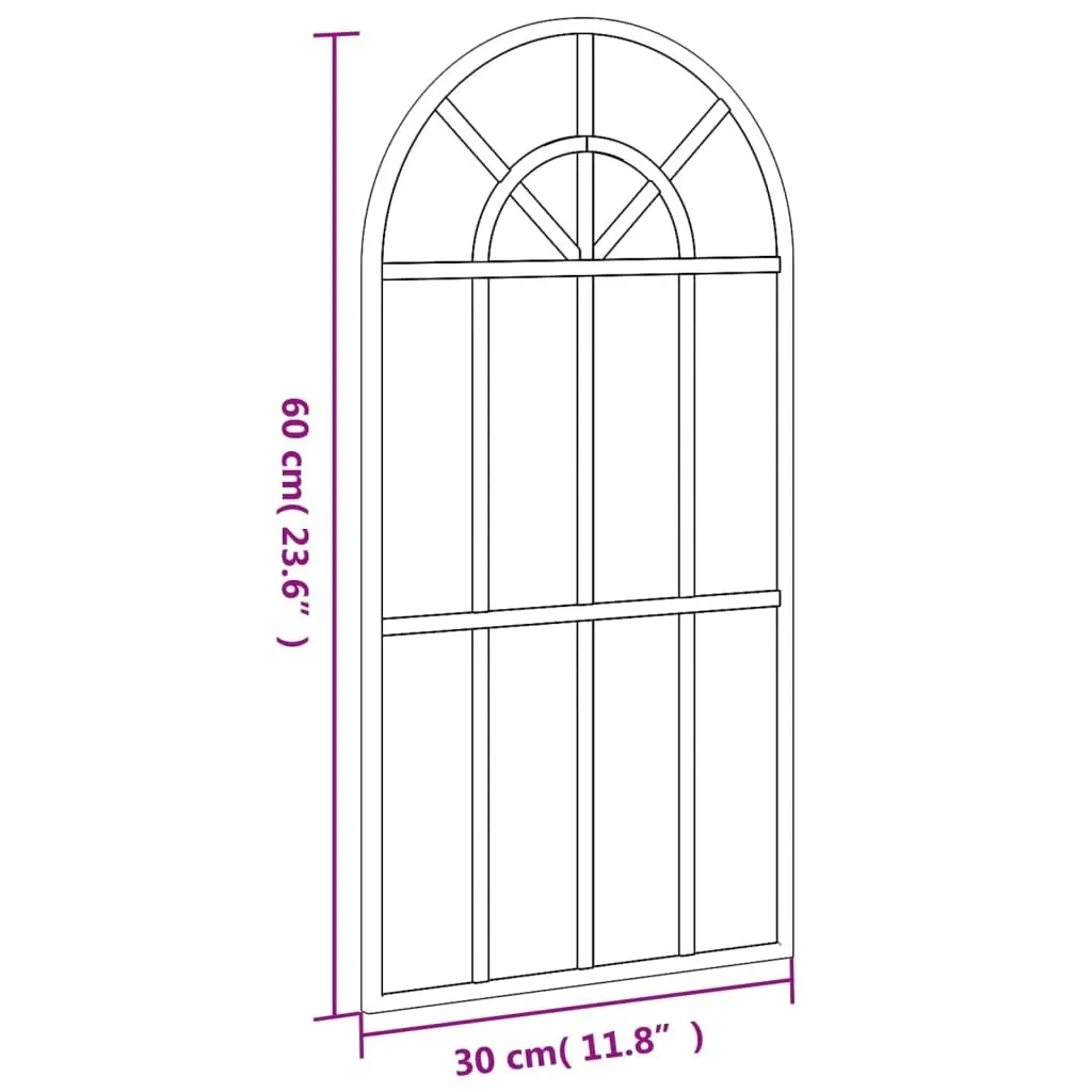 Wall Mirror Iron Frame Black 30x60 cm