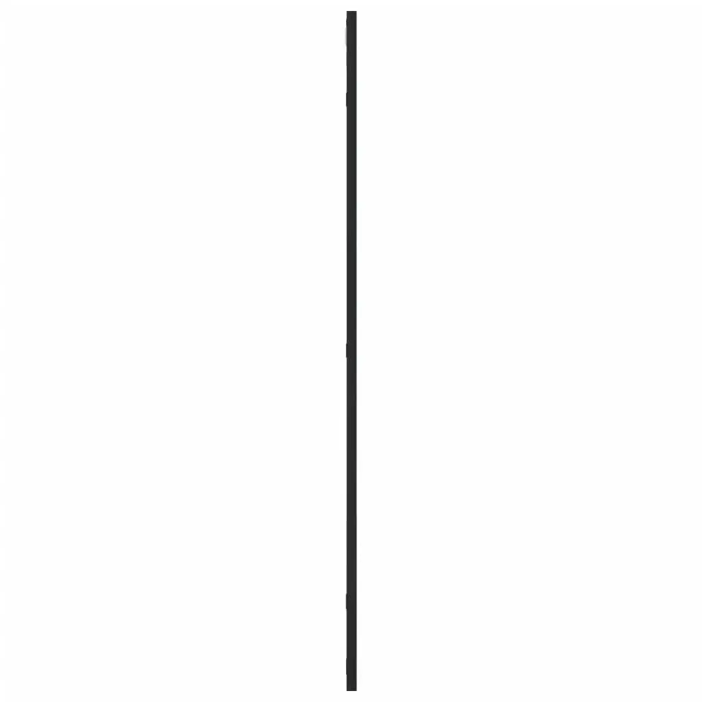 Rectangle Black Wall Mirror 50x100 cm with Iron Frame