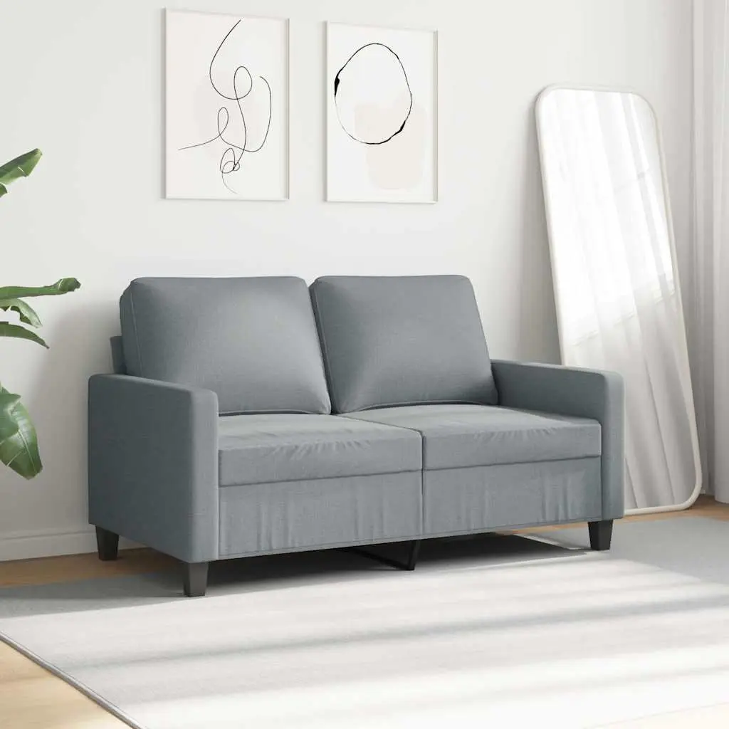 2-Seater Grey Sofa with Durable Fabric