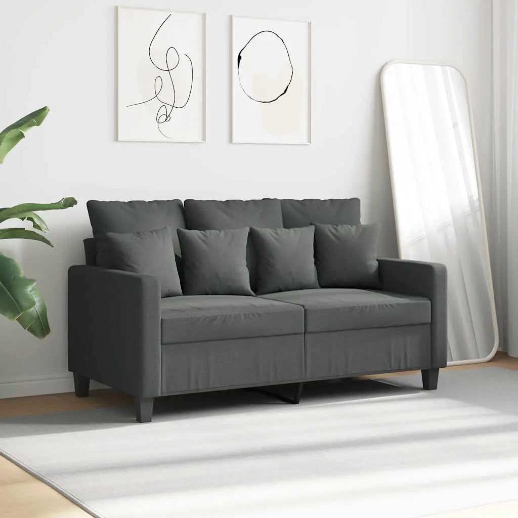 Grey 2-Seater Sofa with Modern Aesthetic