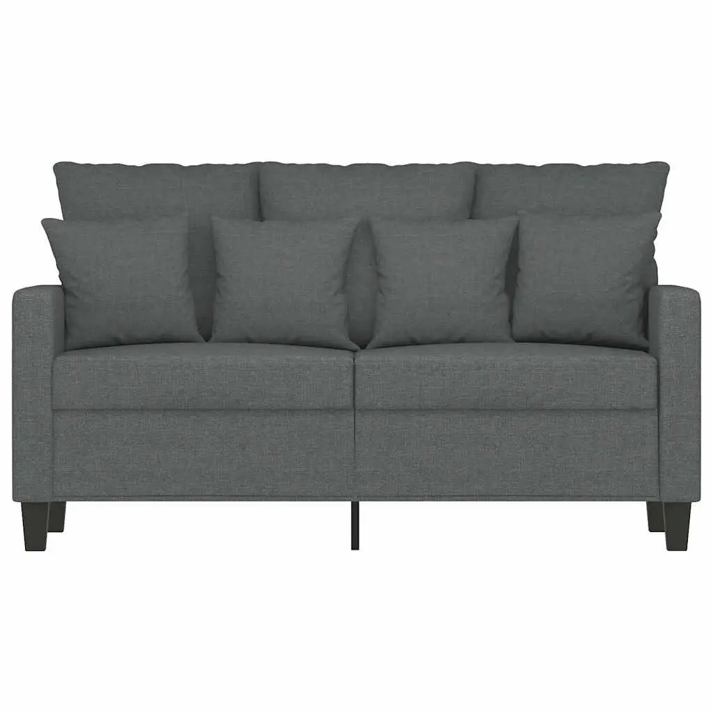 Grey 2-Seater Sofa with Modern Aesthetic