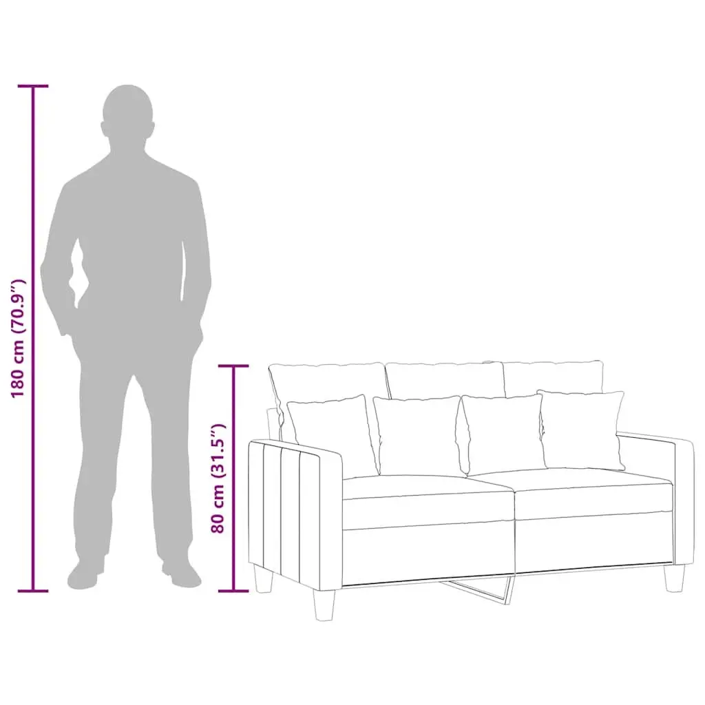Grey 2-Seater Sofa with Modern Aesthetic