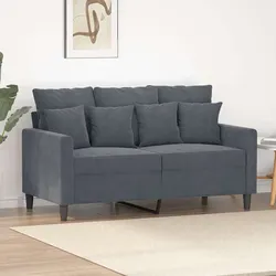 Stylish 2-Seater Grey Velvet Sofa with Durable Metal Frame
