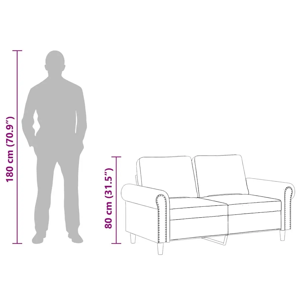 2-Seater Sofa Velvet 120cm Grey Modern Couch