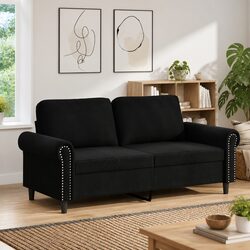 Stylish 2-Seater Black Velvet Sofa for Modern Living Rooms