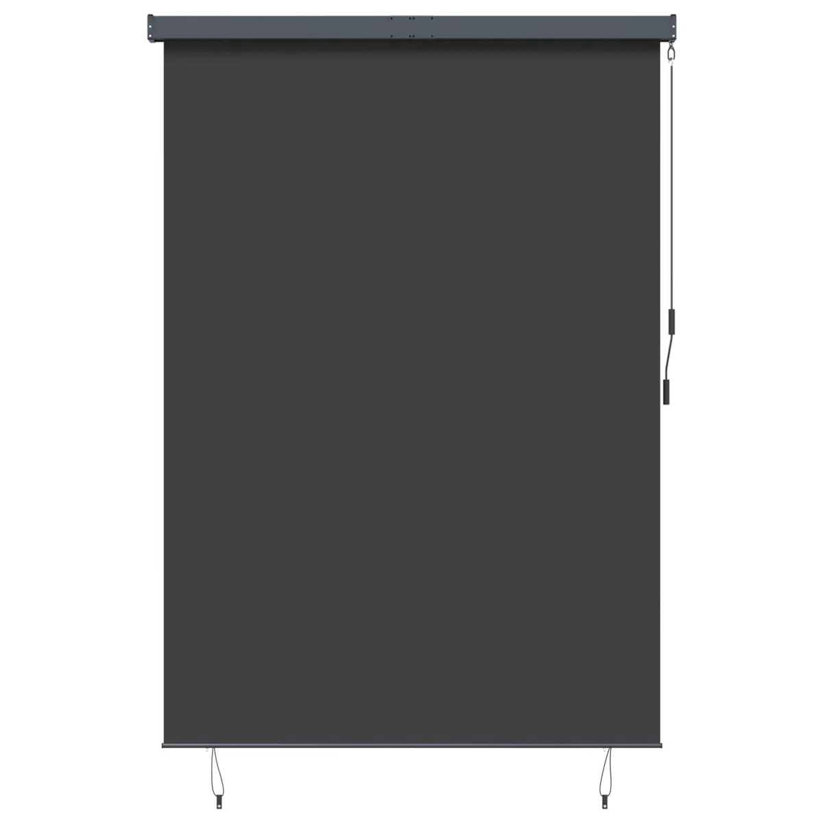 Outdoor Roller Blind Polyester 180 x 250 cm Anthracite