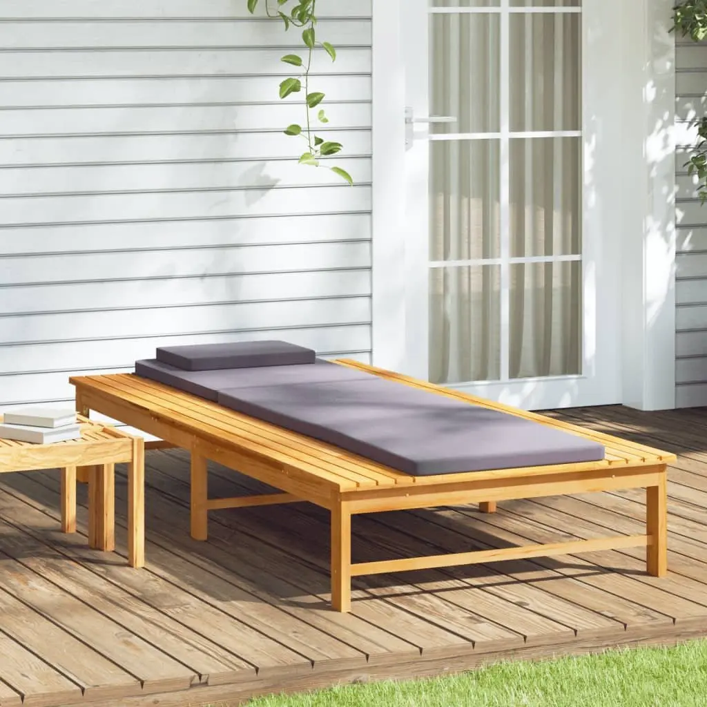 Solid Acacia Wood Sun Lounger with Cushion Pillow