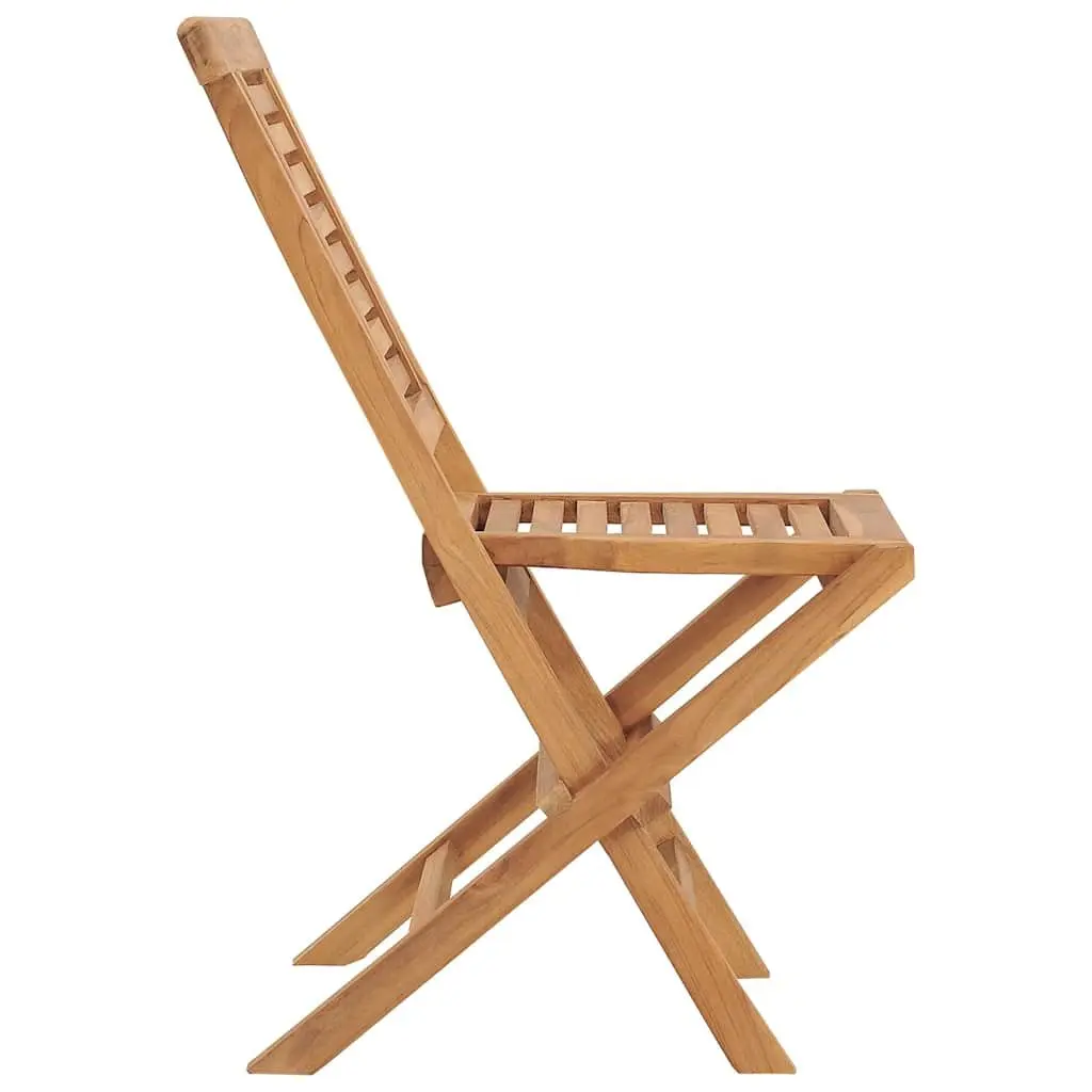 Folding Garden Chairs 2-Pack for Outdoor Use