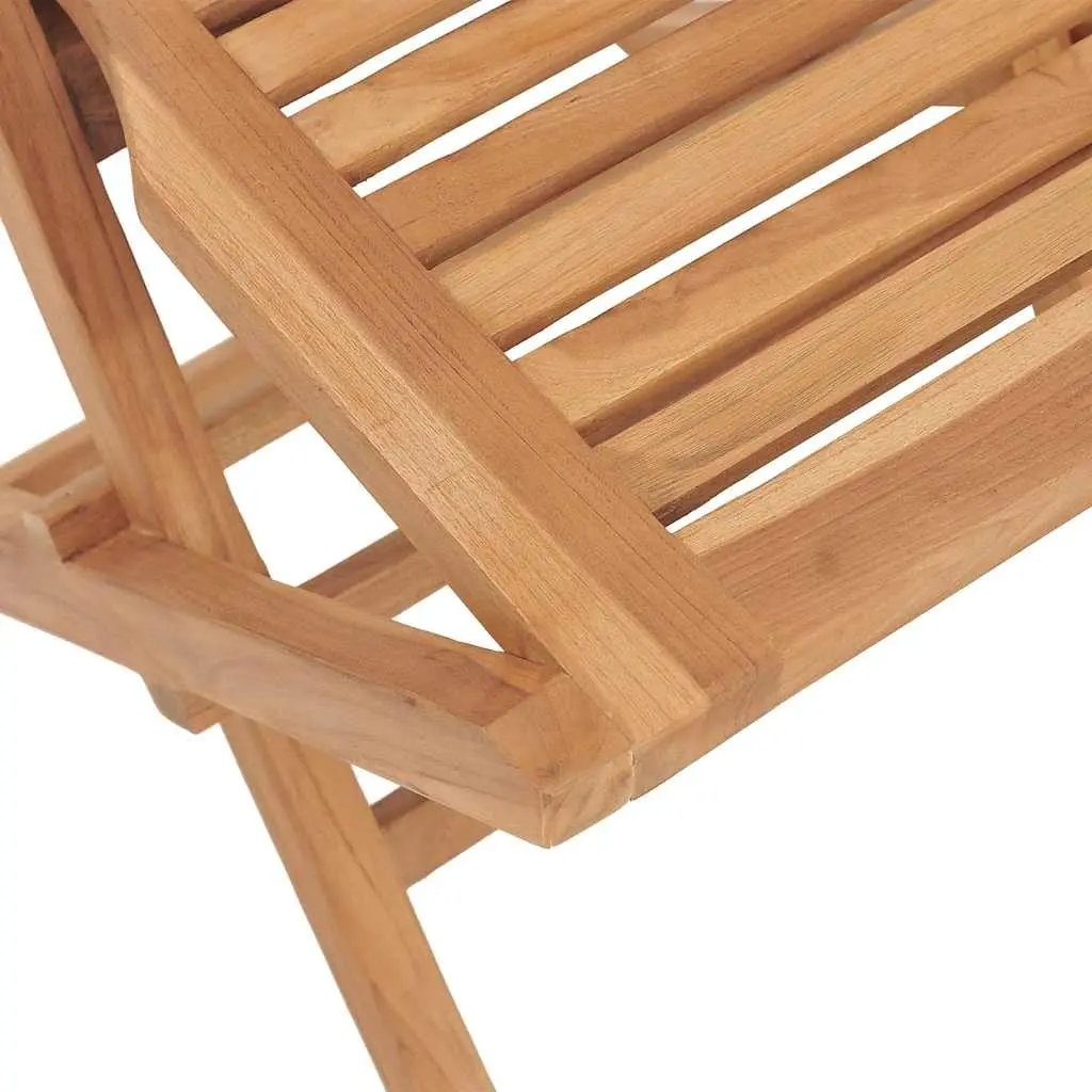 Folding Garden Chairs 2-Pack for Outdoor Use