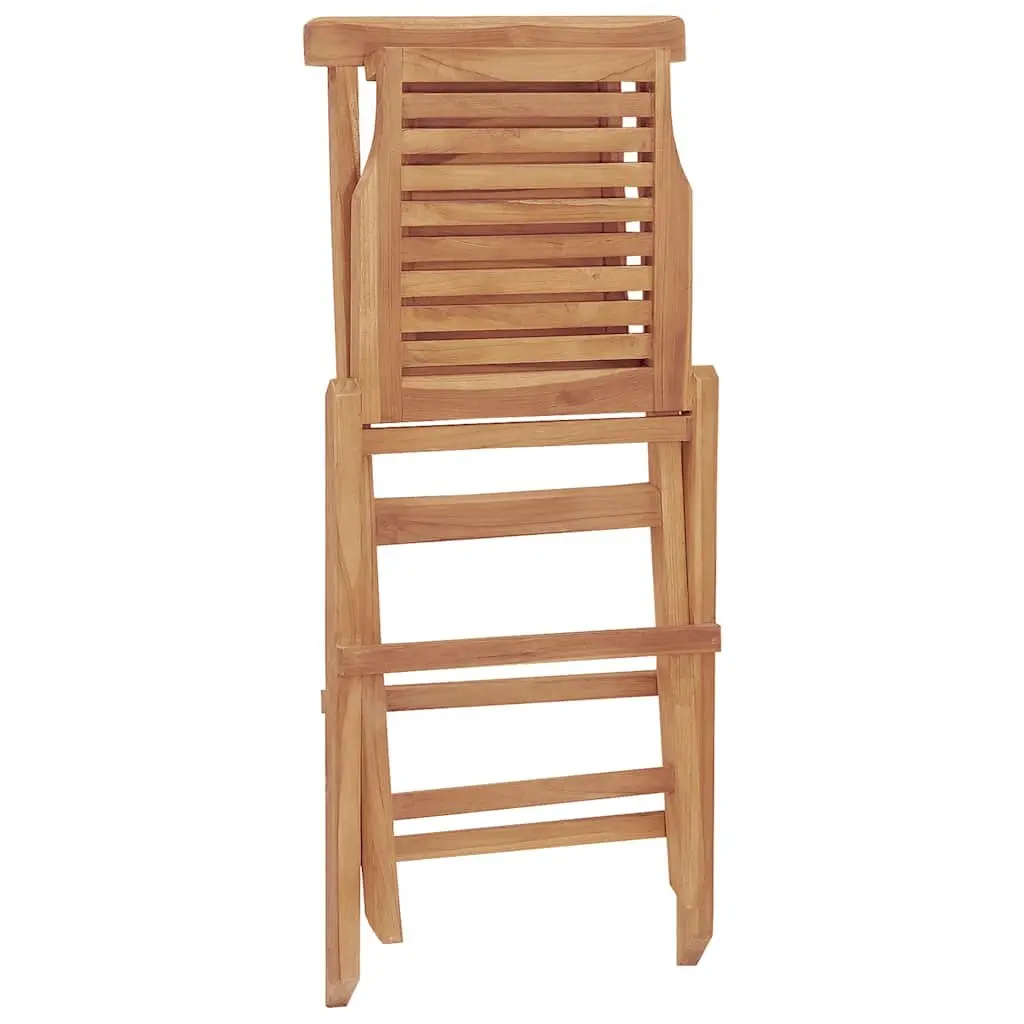 Folding Garden Chairs 2-Pack for Outdoor Use