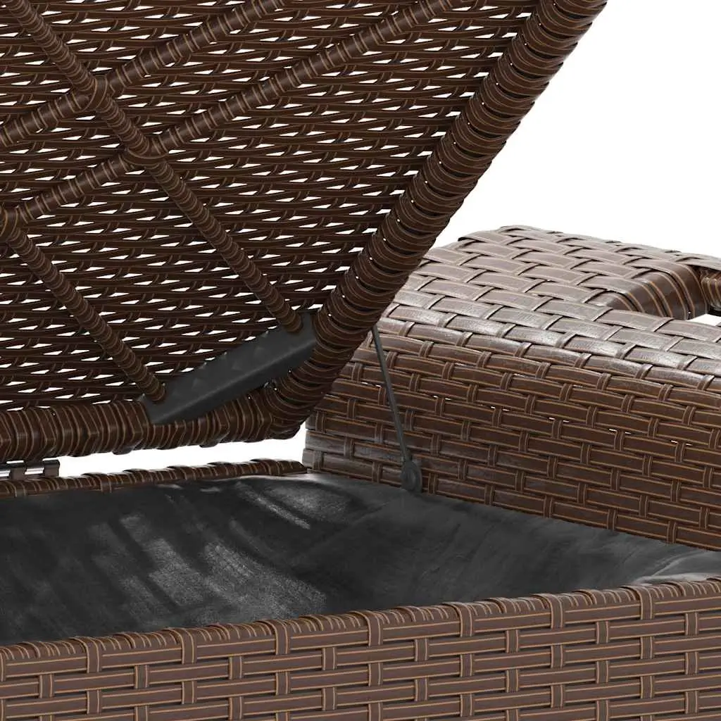 Outdoor Garden Bench with Storage and Cushion