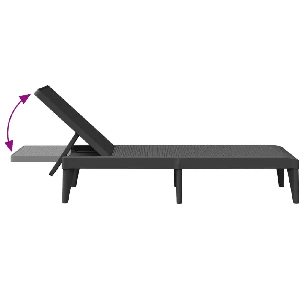 Adjustable Reclining Sun Lounger for Outdoor Relaxation