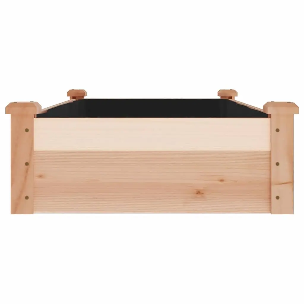 Solid Wood Raised Garden Bed 120x60x25 cm with Liner