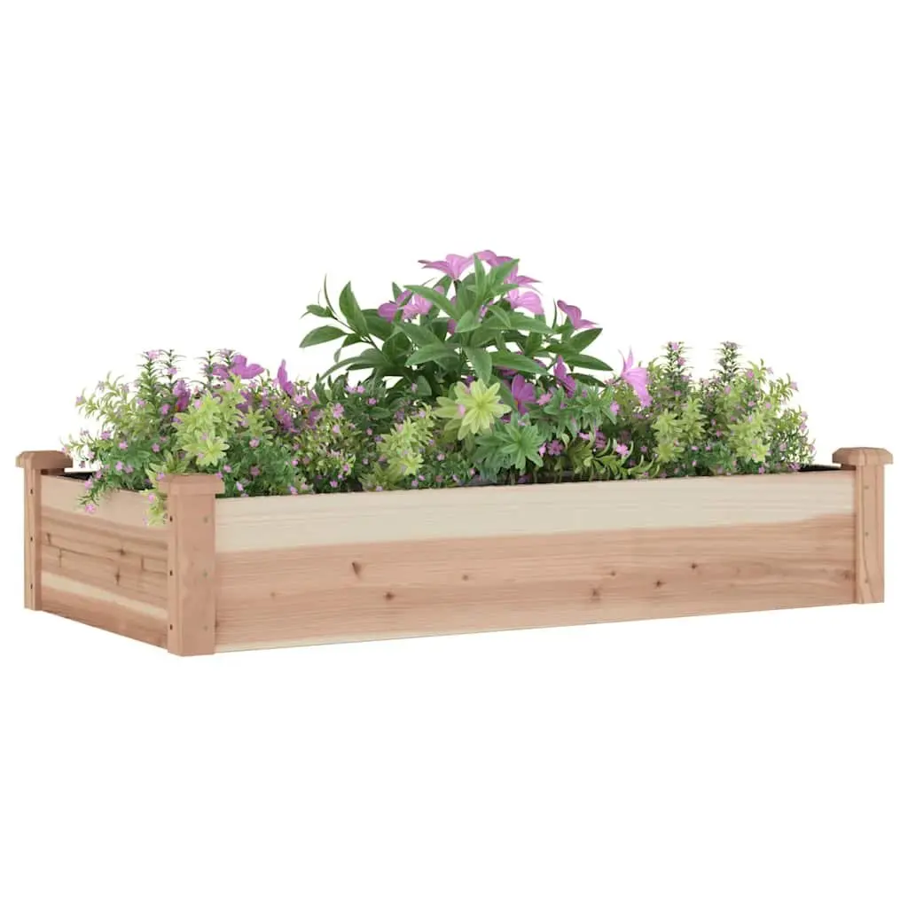 Solid Wood Raised Garden Bed 120x60x25 cm with Liner