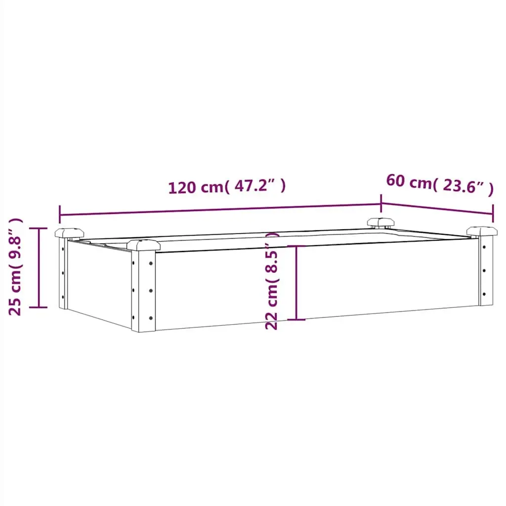 Solid Wood Raised Garden Bed 120x60x25 cm with Liner