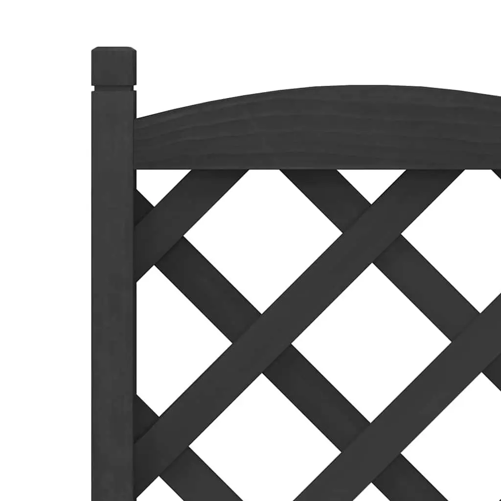 Black Fir Wooden Planter with Climbing Trellis