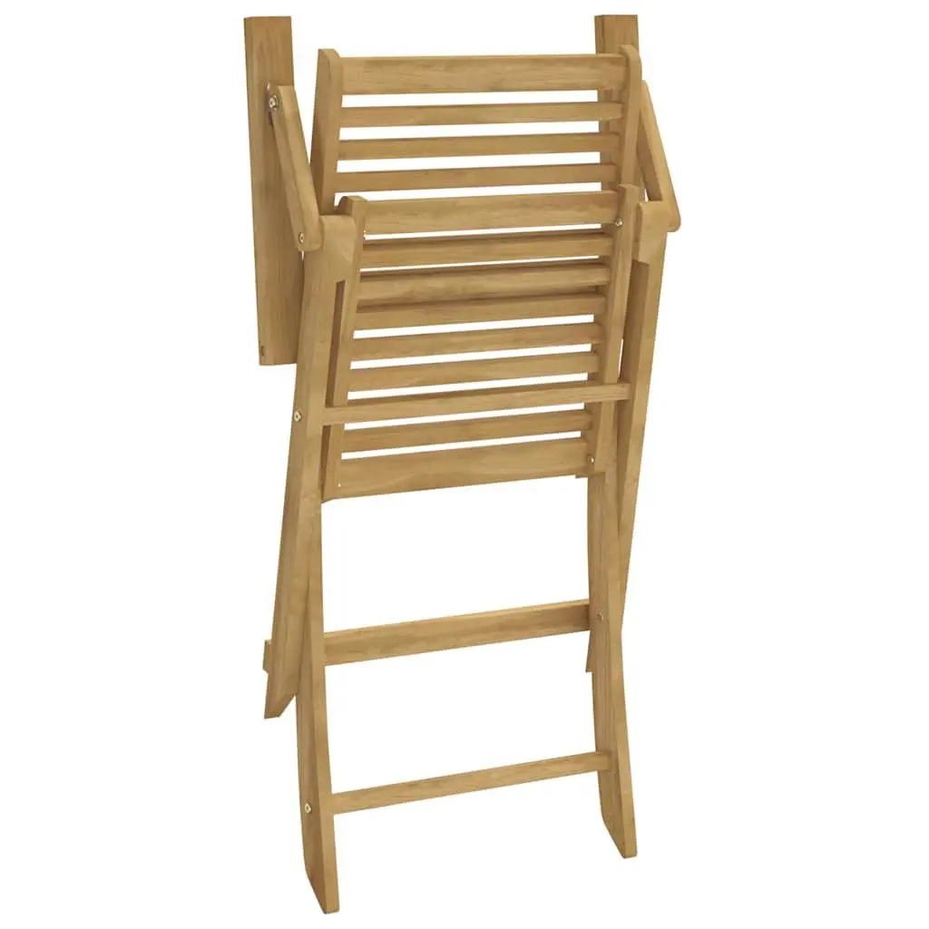 Set of 2 Solid Wood Folding Outdoor Chairs