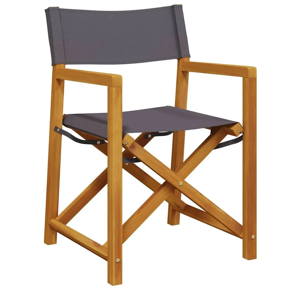 Folding Director Chairs 2 pcs for Outdoor Use
