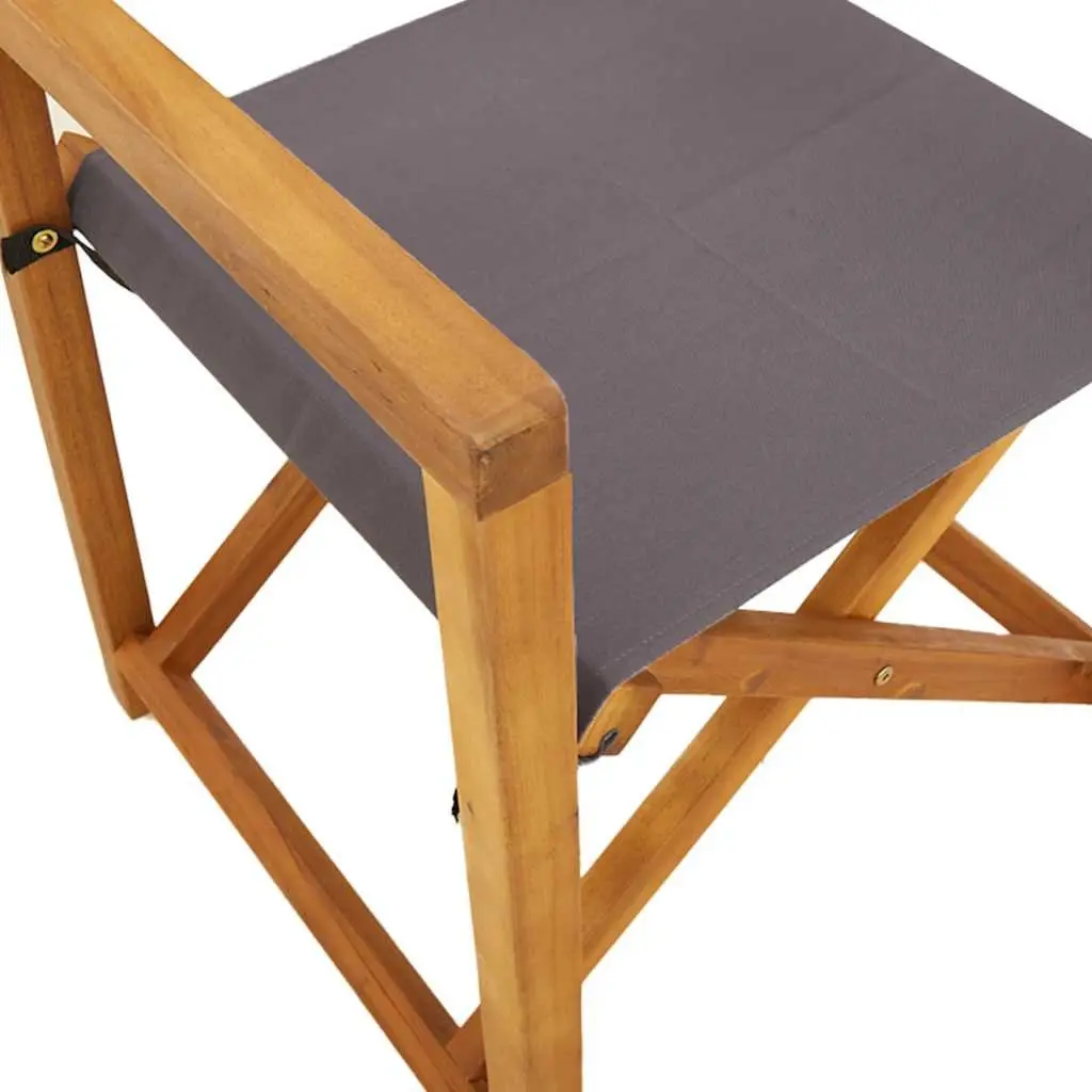 Folding Director Chairs 2 pcs for Outdoor Use