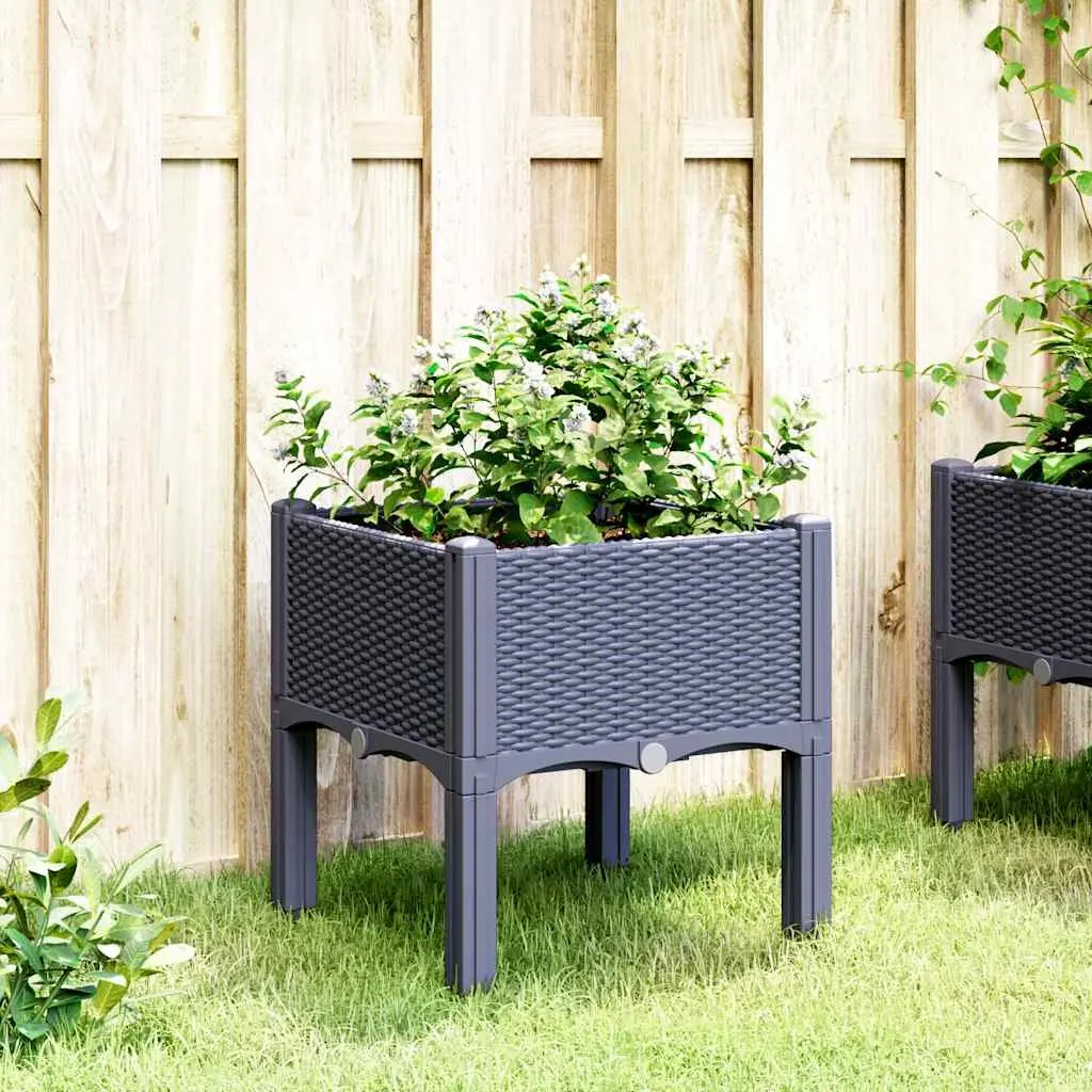 Garden Planter Box Polypropylene 40 x 40 x 42 cm Grey Rattan Look