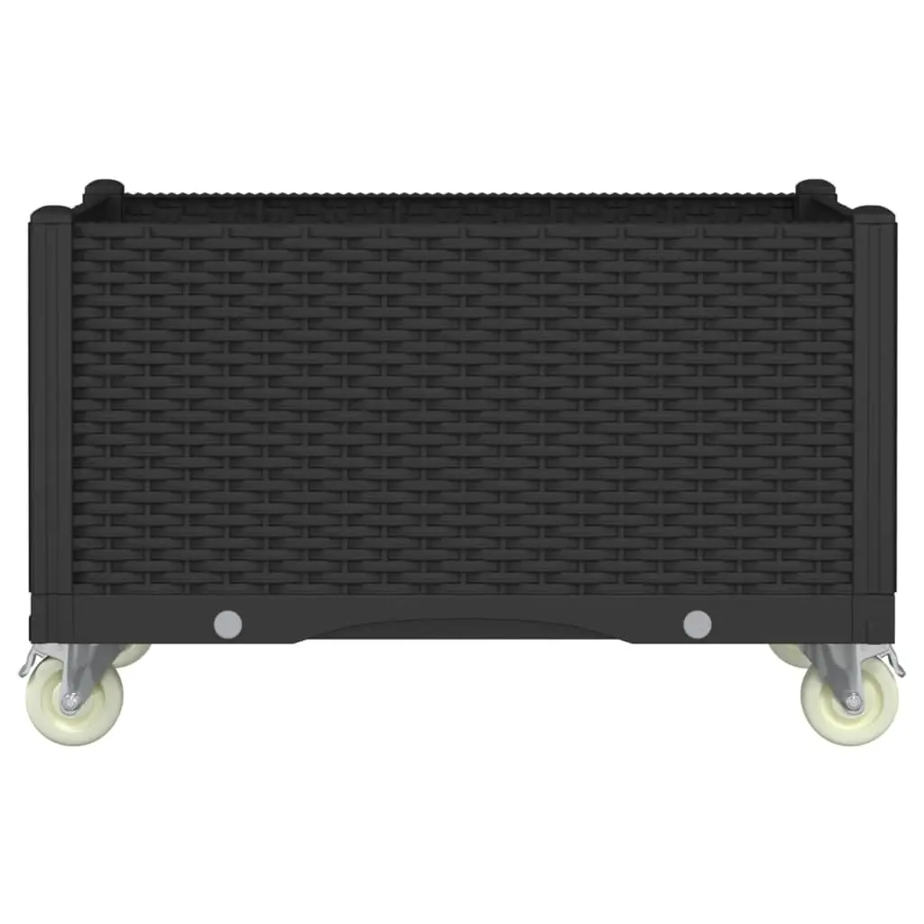 Garden Planter on Wheels for Climbing Plants