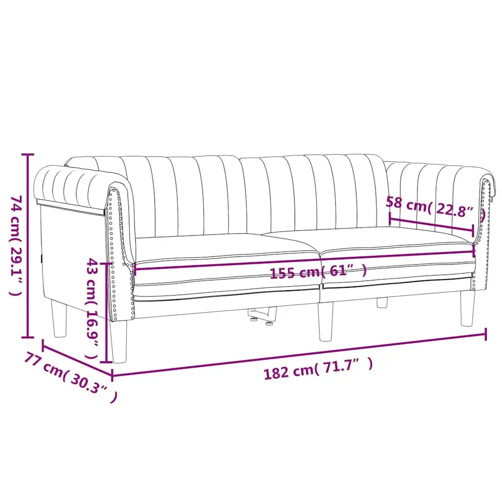 Black Velvet 2-Seater Sofa with Padded Armrests