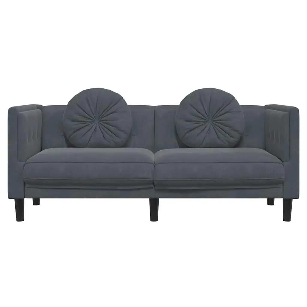 Grey Velvet 2-Seater Sofa with Supportive Cushions