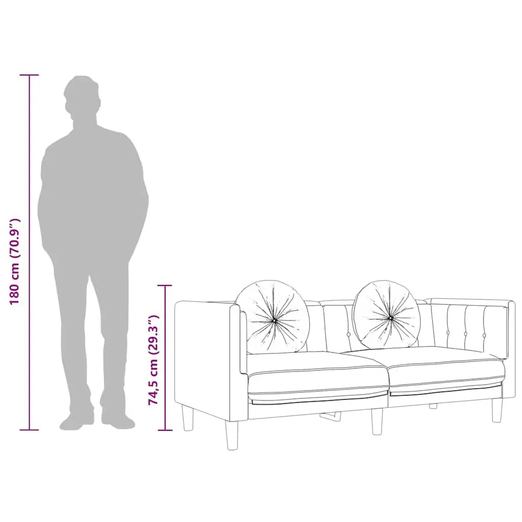 Grey Velvet 2-Seater Sofa with Supportive Cushions