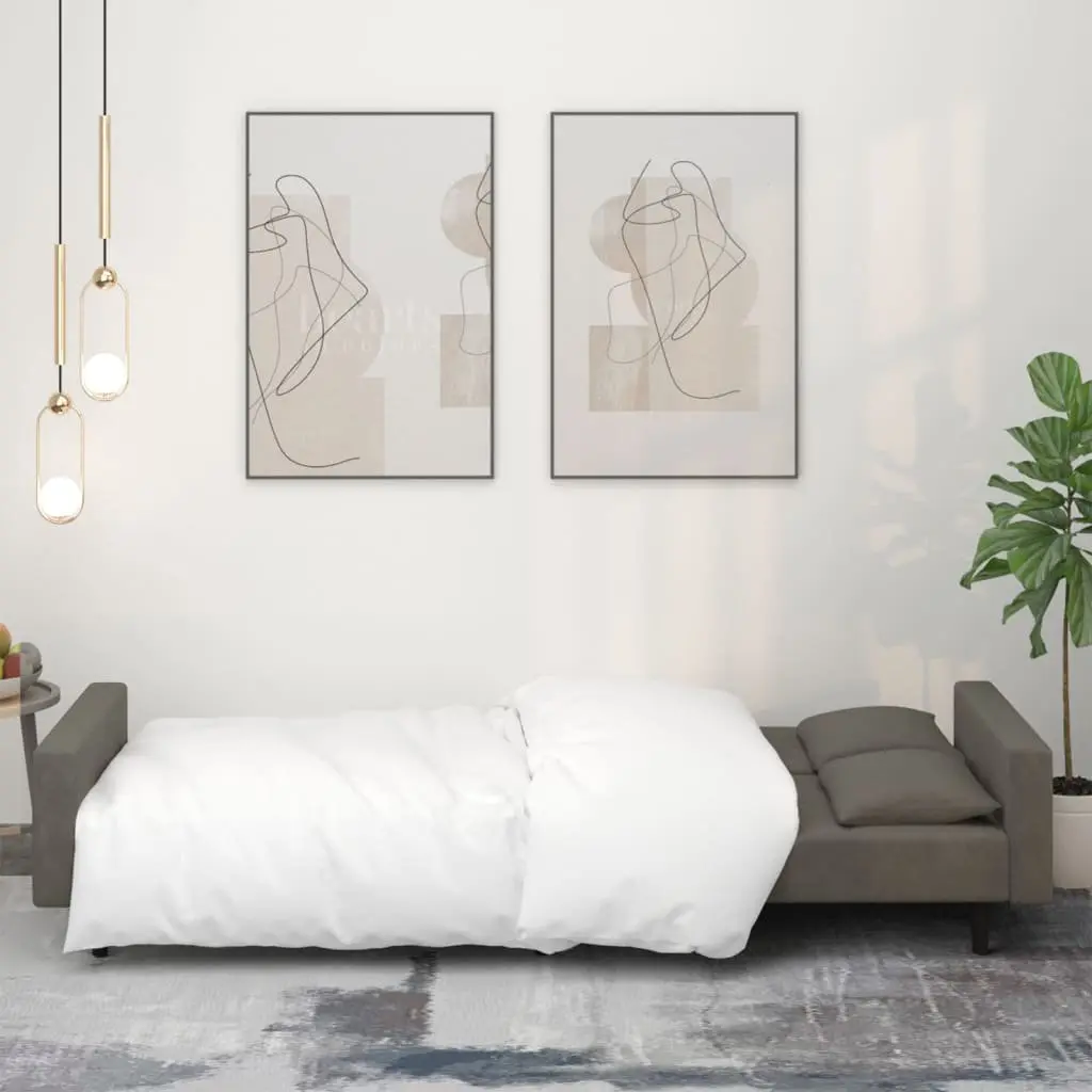 Grey Velvet 2-Seater Sofa Bed with Pillows for Guests