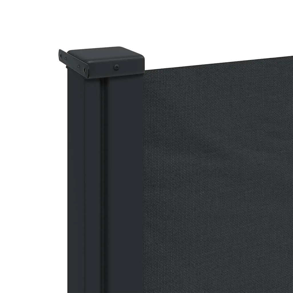 Retractable Side Awning Black 117x300cm