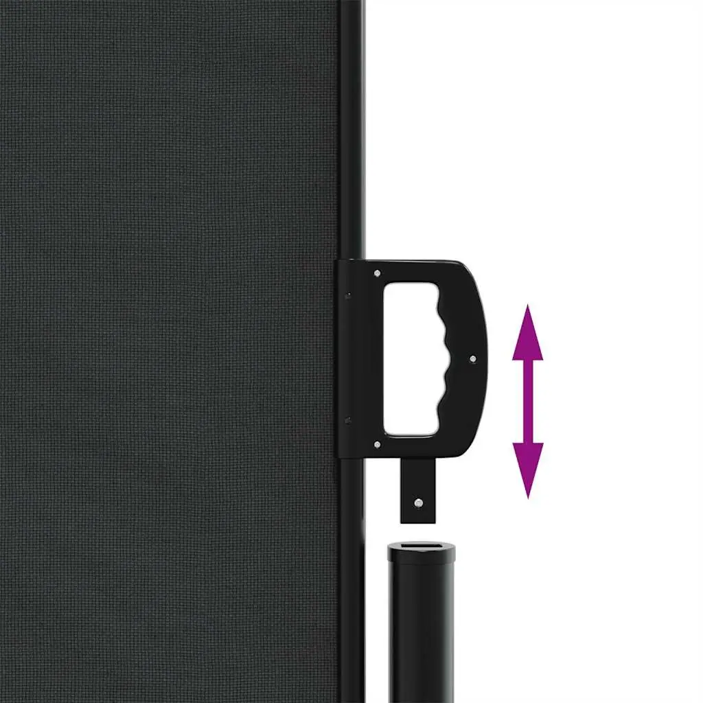Retractable Side Awning Black 100x500cm