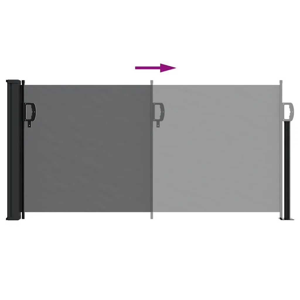 Retractable Side Awning Black 100x500cm