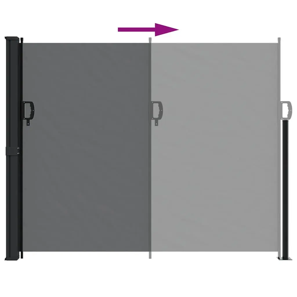 Retractable Side Awning Black 160x500cm