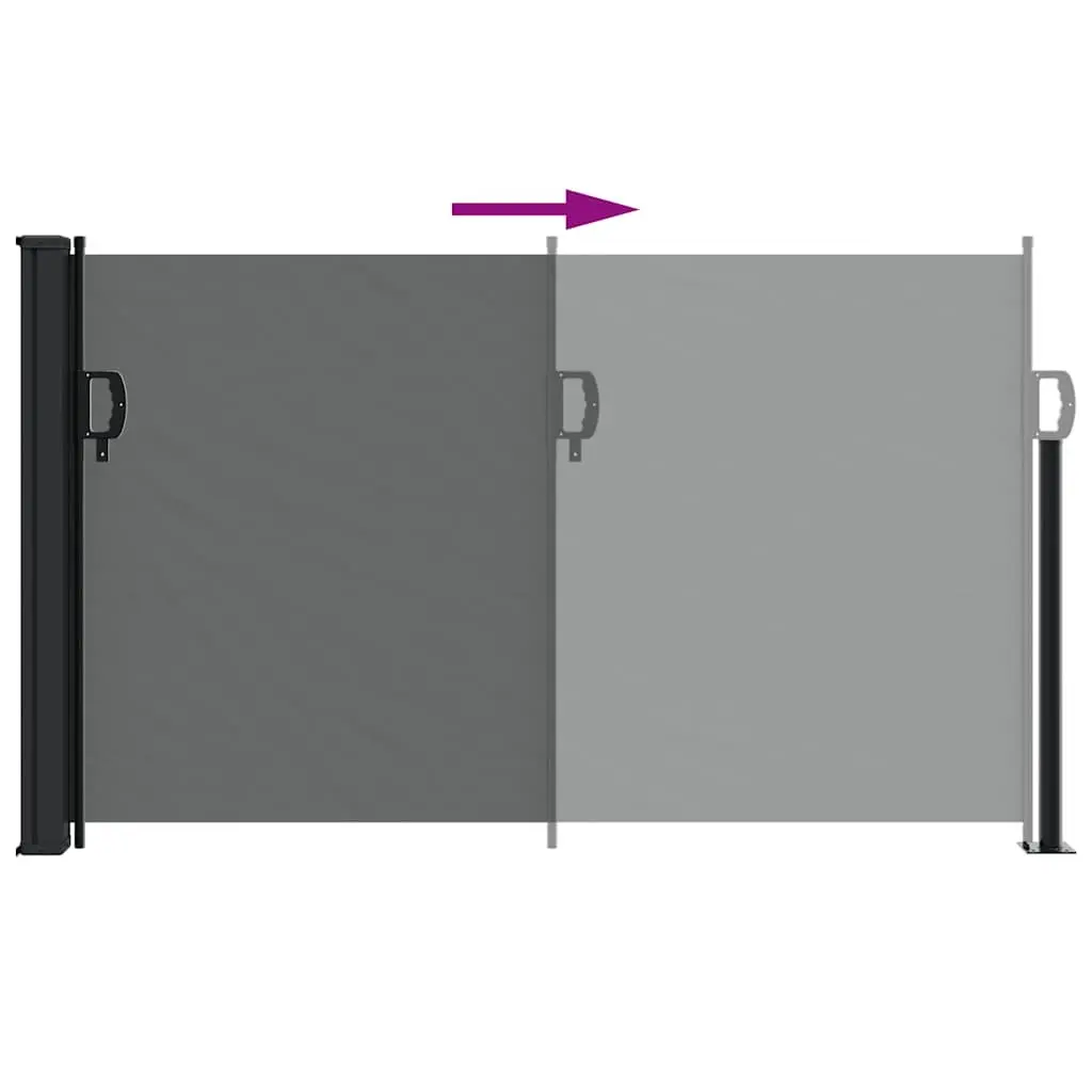 Retractable Side Awning Anthracite 120x600cm